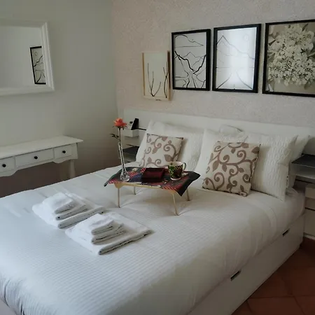 Vfh Guicciardini Stylish Apartament